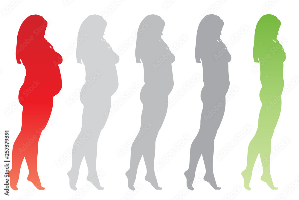 Vector conceptual fat overweight obese female vs slim fit healthy body after weight loss or diet with muscles thin young woman isolated. Fitness, nutrition or fatness obesity, health silhouette shape Vector conceptual fat overweight obese female vs slim fit healthy body after weight loss or diet with muscles thin young woman isolated. Fitness, nutrition or fatness obesity, health silhouette shape