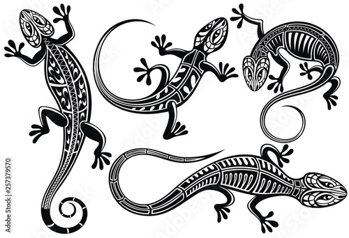 Set of lizard, salamader, gecko sillhouette 