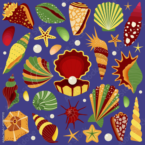 Tropical sea shells, starfishes and pearls collection. Ocean aquatic life underwater set with clams, conchs and shellfishes in cartoon. Summer pearl oyster seashell and aquarium decor collection.