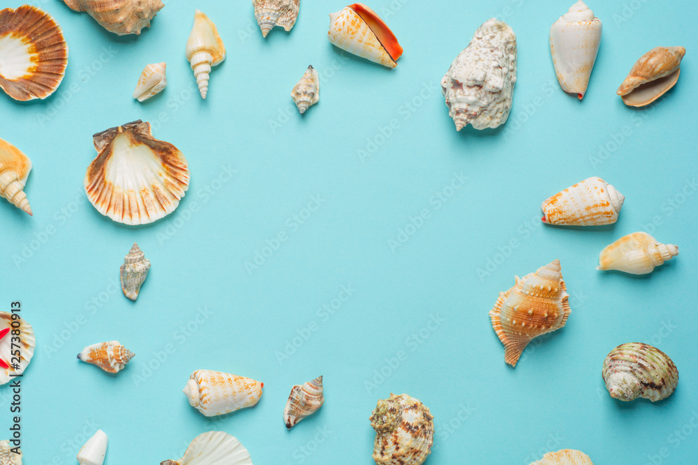 Composition of exotic sea shells on a blue background. Summer concept. Flat Lay. Top View Composition of exotic sea shells on a blue background. Summer concept. Flat Lay. Top View
