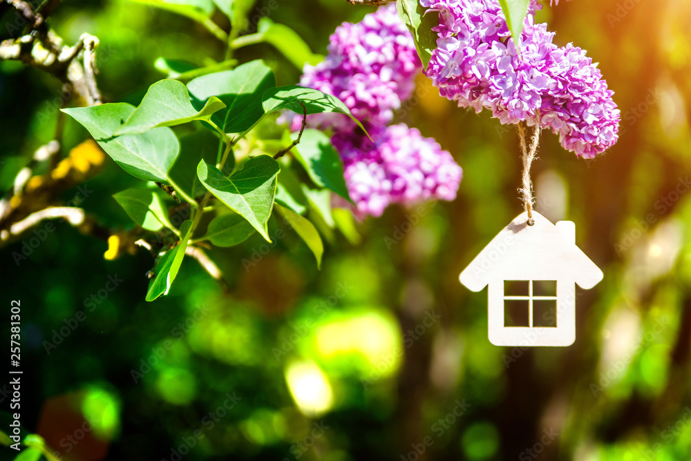 The symbol of the house among the branches of the pink lilac The symbol of the house among the branches of the pink lilac