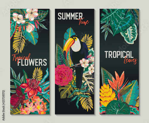 Vector collection of three cards, with toucan, exotic flowers, plants and leaves.