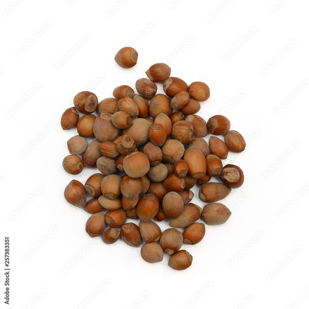 small handful of hazelnuts on a white background small handful of hazelnuts on a white background