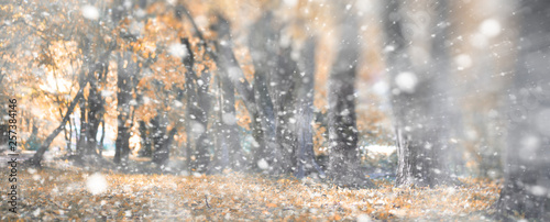 Background autumn park in the first snow © alexkich