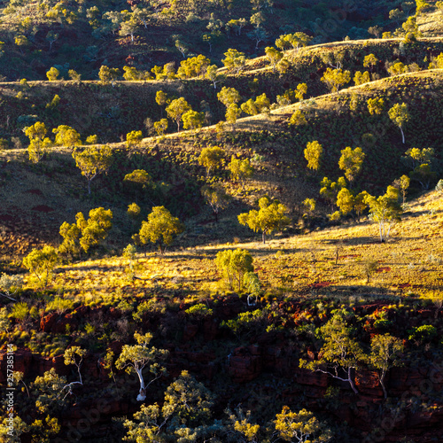 Landscape of rolling hills and gum trees in the Australian outback. Pilbara region, near Karijini National Park, Western Australia, Australia.