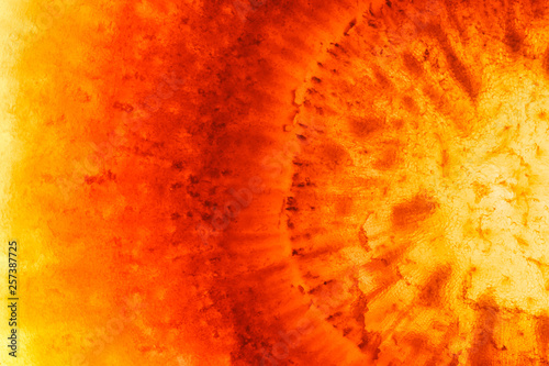 Super macro shot of fresh carrot pulp. Detailed background with fibers, enhanced texture and translucency.