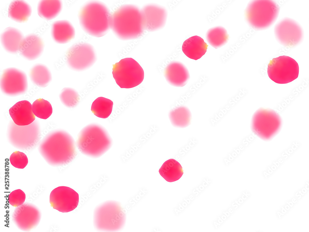 Pink rose petals falling vector valentine background.