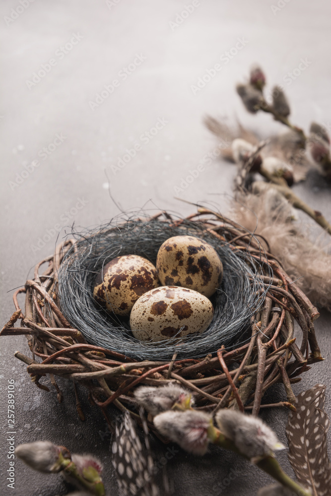 Quail easter eggs in nest and spring willow on vintage table. Quail easter eggs in nest and spring willow on vintage table.