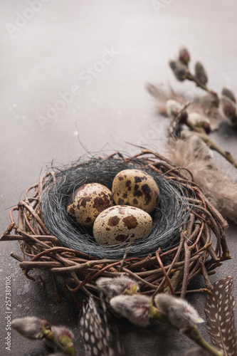 Fototapeta Naklejka Na Ścianę i Meble -  Quail easter eggs in nest and spring willow on vintage table.