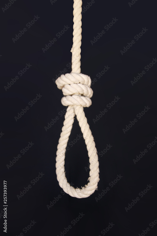 Rope noose with knot on white background, top view - Stock Image