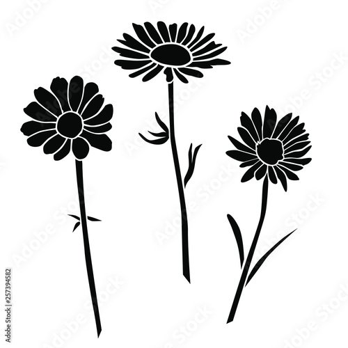 Set of silhouettes of flowers daisies, carnations,  vector, black color, isolated on white background