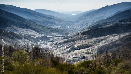 Overview of the Jerte Valley, during the thousands of cherry trees bloom photo