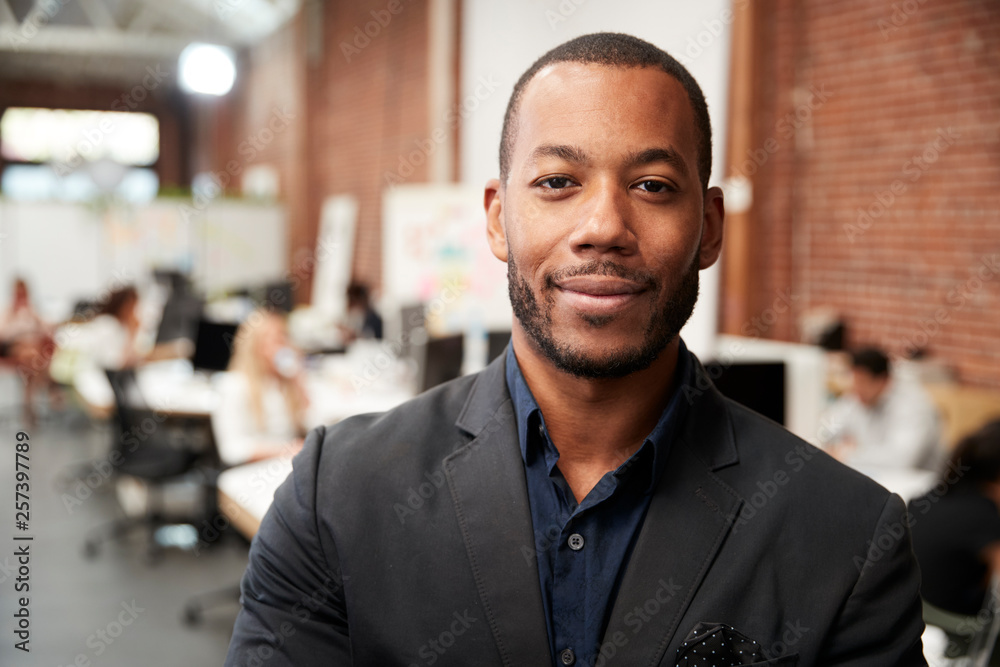 Portrait Of Businessman In Modern Open Plan Office With Business Team Working In Background Portrait Of Businessman In Modern Open Plan Office With Business Team Working In Background