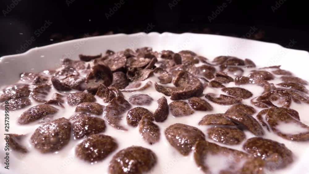 Brown chocolate corn flakes fall in a white plate with a pattern of flowers on the edge and are filled with milk. Closeup. Slow mo, slo mo, slow motion, high speed camera, Brown chocolate corn flakes fall in a white plate with a pattern of flowers on the edge and are filled with milk. Closeup. Slow mo, slo mo, slow motion, high speed camera,