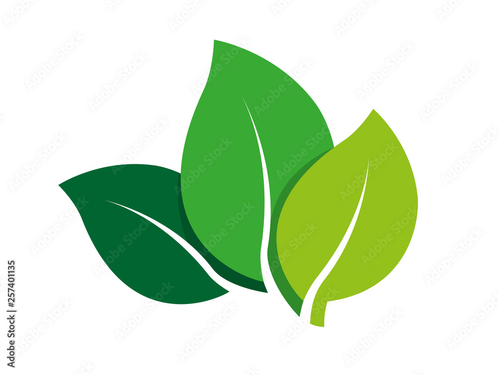 Naklejka premium Nature