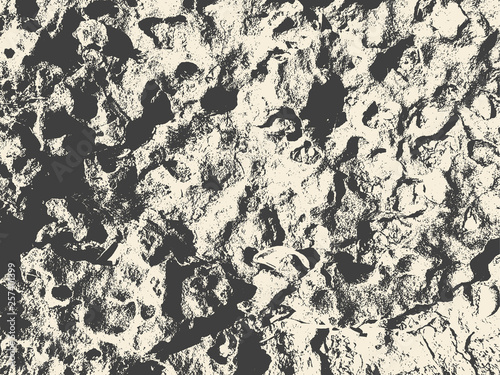Coquina. Abstract Background. Grunge Texture. Vector illustration.