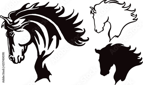 head of shadow and contour