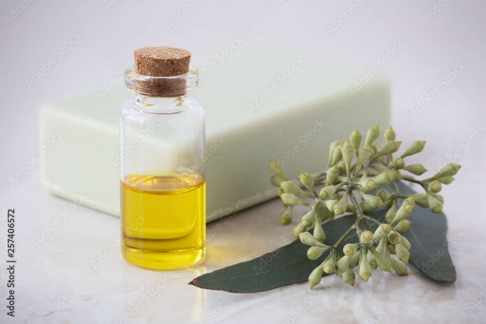 Oil, Soap and Eucalyptus Leaves