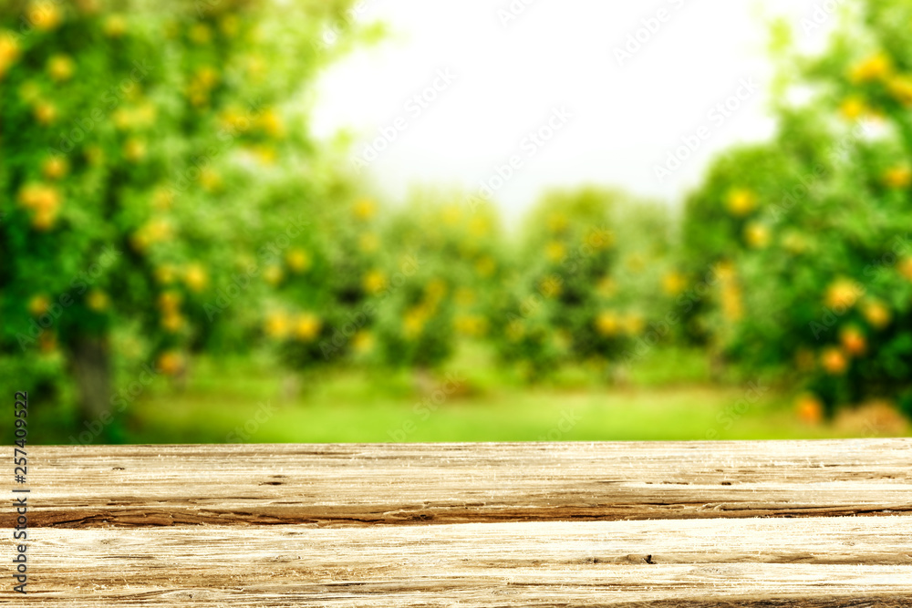 Desk of free space for your decoration and spring blurred background Desk of free space for your decoration and spring blurred background