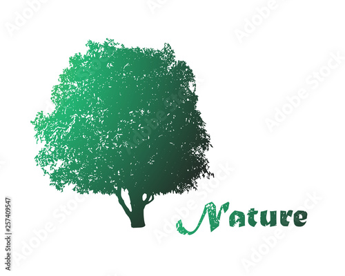 abstract green tree