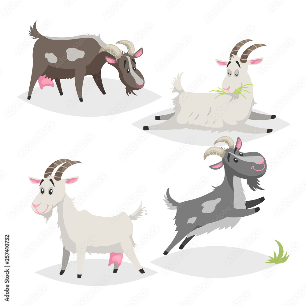 Cute different colors and breeds goats. Cartoon flat style farm animals  collection. Eating, sleeping, standing and jumping goats. Vector  illustration isolated on white background. Stock Vector | Adobe Stock