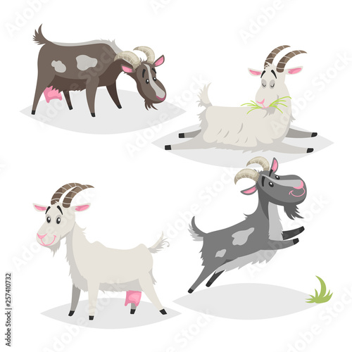Cute different colors and breeds goats. Cartoon flat style farm animals collection. Eating, sleeping, standing and jumping goats. Vector illustration isolated on white background.