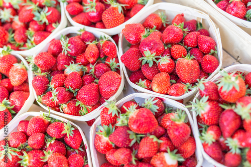 Fresh strawberry in cardboard boxes on the market 