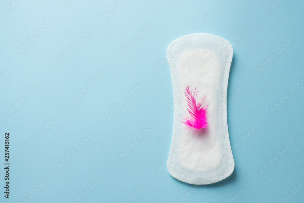 Red feather and daily, menstrual woman pad for hygiene or blood period on blue background. copy space . Menstruation sanitary soft pad, hygiene protection. Red feather and daily, menstrual woman pad for hygiene or blood period on blue background. copy space . Menstruation sanitary soft pad, hygiene protection.