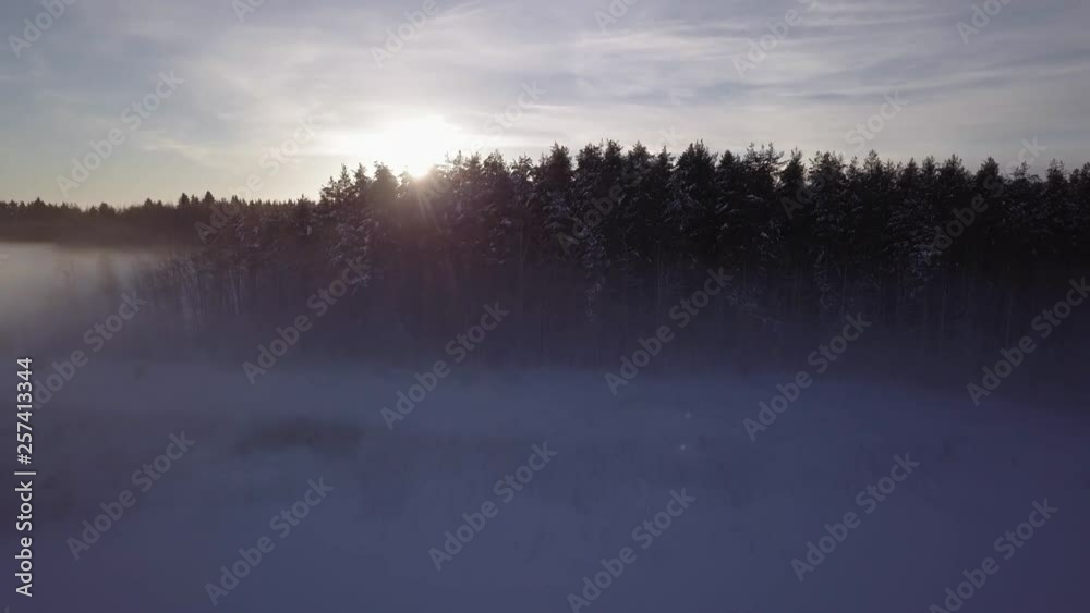 Setting sun blinking behind treetops at foggy winter landscape Setting sun blinking behind treetops at foggy winter landscape