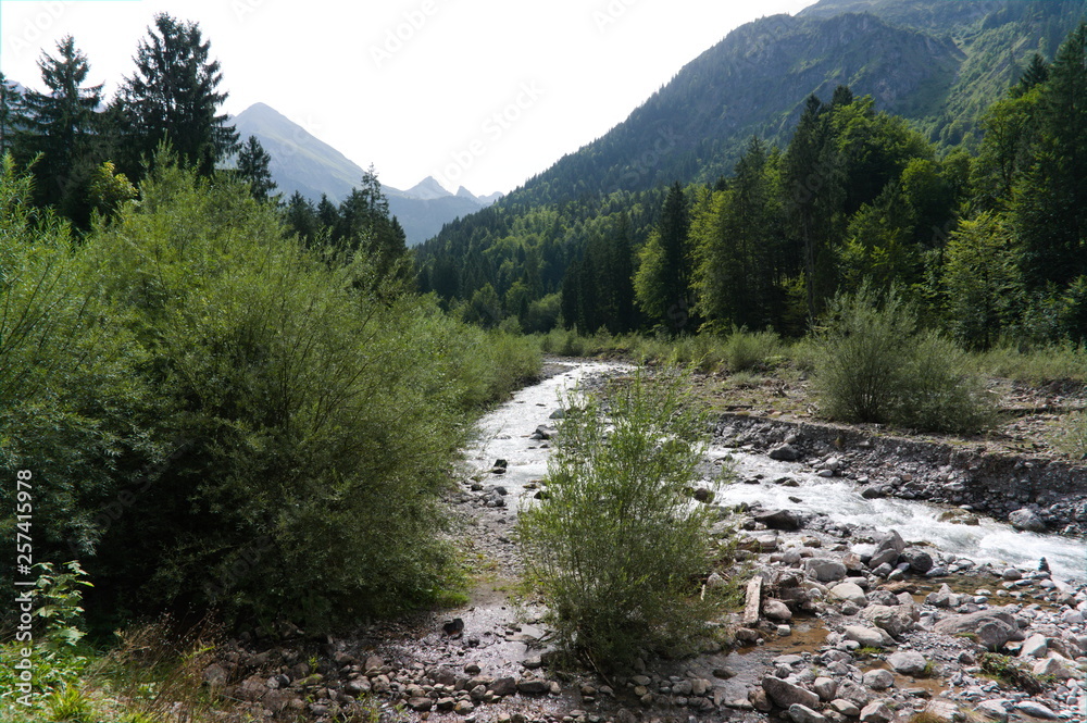 Summer mountain landscape with stream river