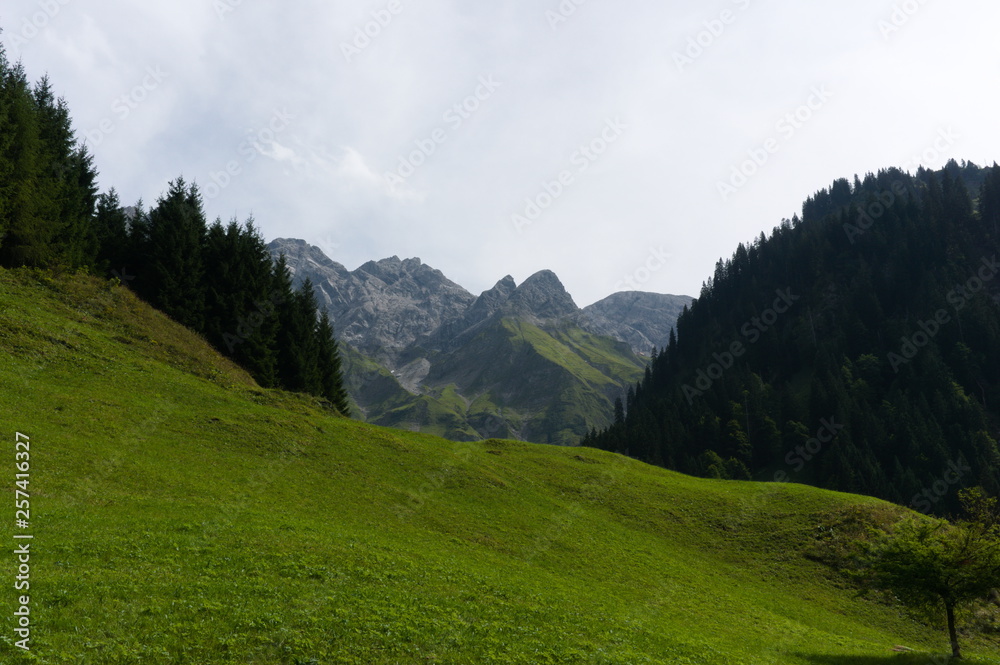 Idyllic summer landscape with hiking trail in the Alps with beautiful fresh green mountain pastures, Allgäu Germany Idyllic summer landscape with hiking trail in the Alps with beautiful fresh green mountain pastures, Allgäu Germany