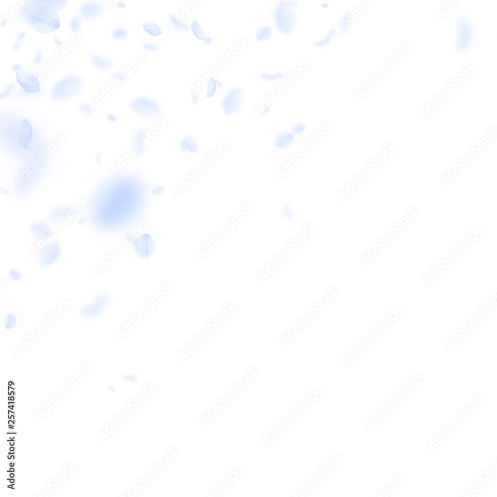 Light blue flower petals falling down. Sightly rom Light blue flower petals falling down. Sightly rom