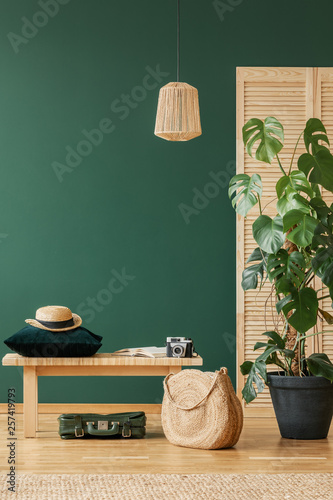 Lamp above wooden stool and bag next to plant in green flat interior with hat. Real photo photo