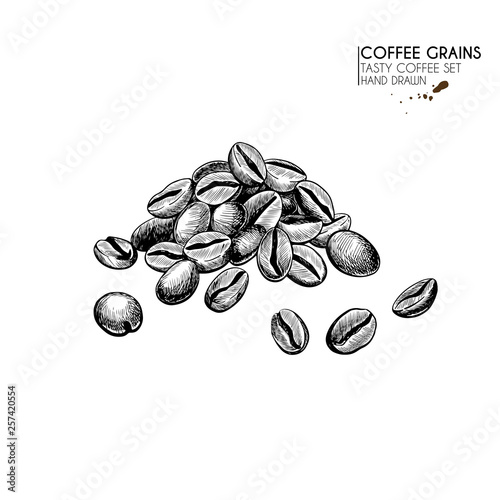 Coffee set. Hand drawn coffee bean pile. Freshly roasted or raw grain heap. Vector engraved icon. Morning fresh drink. For restaurant and cafe menu, coffee shop flyer, banner design template. photo