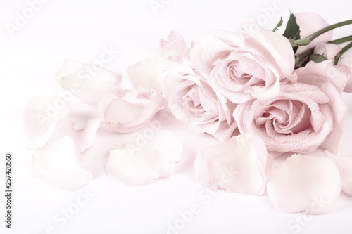 gently pink roses retro style. wedding shabby chic background