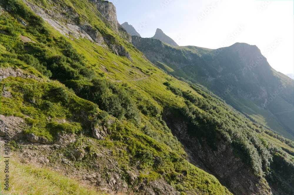 Idyllic summer landscape with hiking trail in the Alps with beautiful fresh green mountain pastures, Allgäu Germany Idyllic summer landscape with hiking trail in the Alps with beautiful fresh green mountain pastures, Allgäu Germany