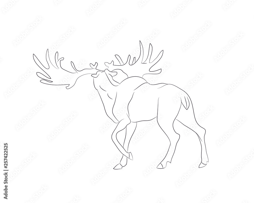 Obraz premium vector illustration deer stands drawing lines,