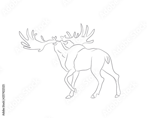 vector illustration deer stands drawing lines,