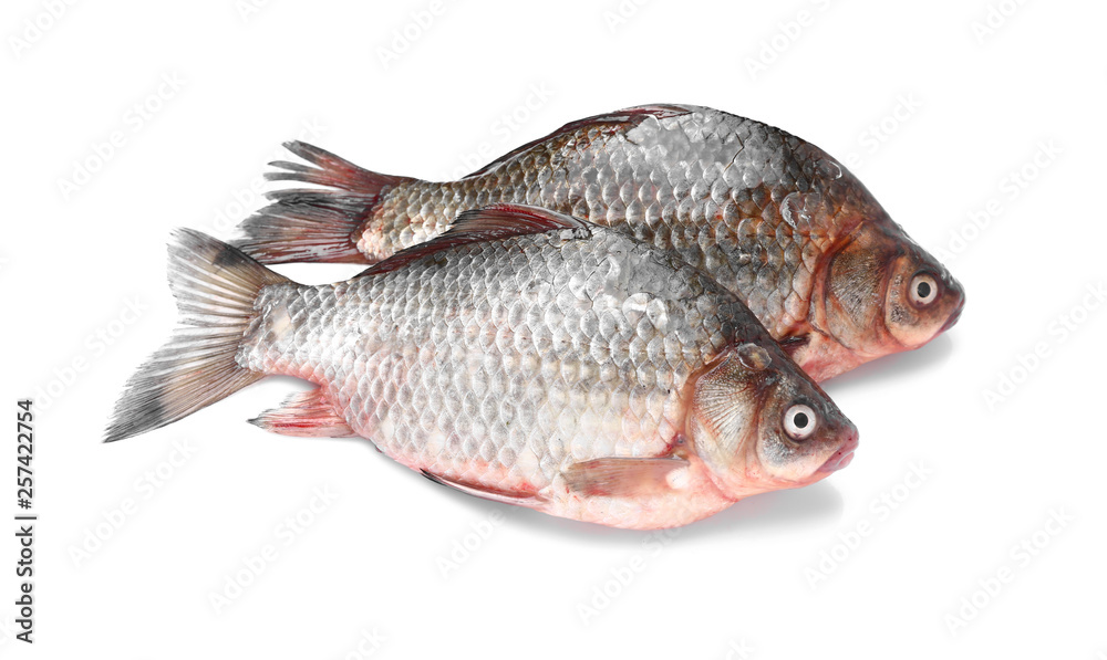 Fresh fish on white background