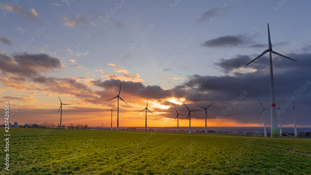 Fototapeta premium Sunset with wind turbines