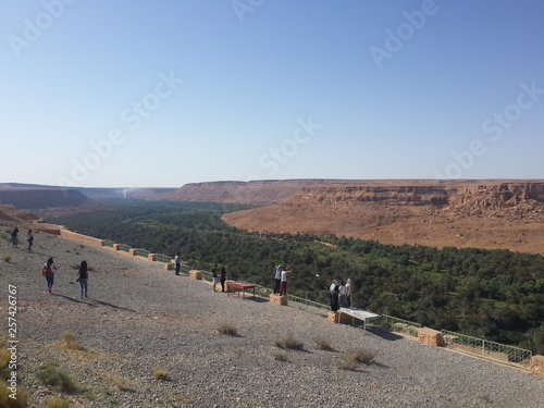 sahara landscape