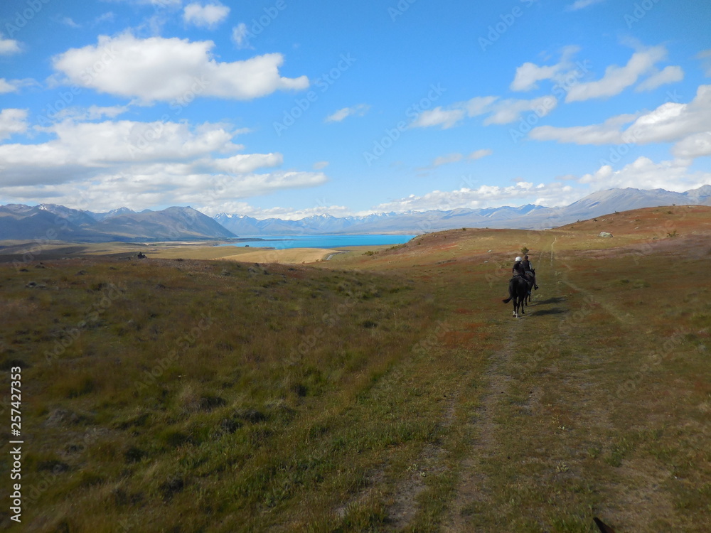The horse riding in the great landscape of New Zealand and the beautiful view of lake Tekapo