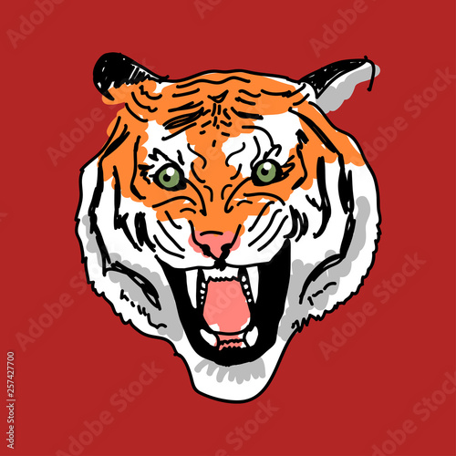 evil tiger on white background, tiger's head, vector stock illustration