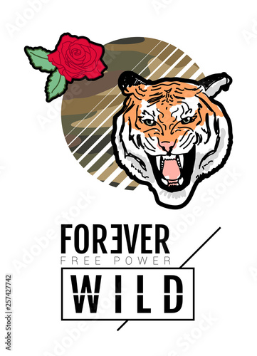 Print on T-shirt, print on sweater, evil tiger and rose on camouflage background, vector stock illustration