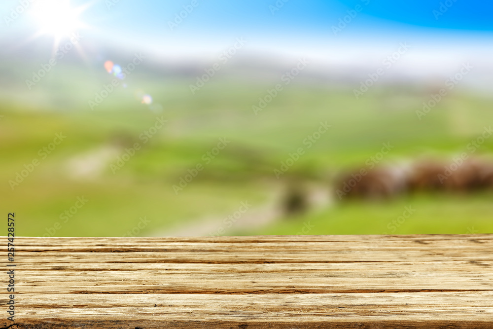 Fototapeta premium Summer background and free space for your decoration.
