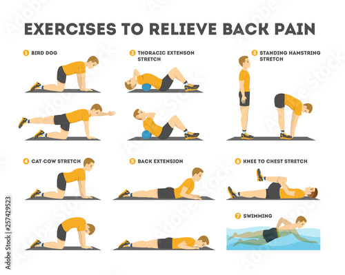 Exercise set to relieve back pain. Stretching and training