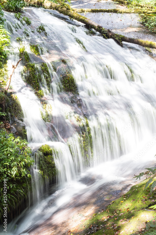 Fototapeta premium close up slow motion Waterfall