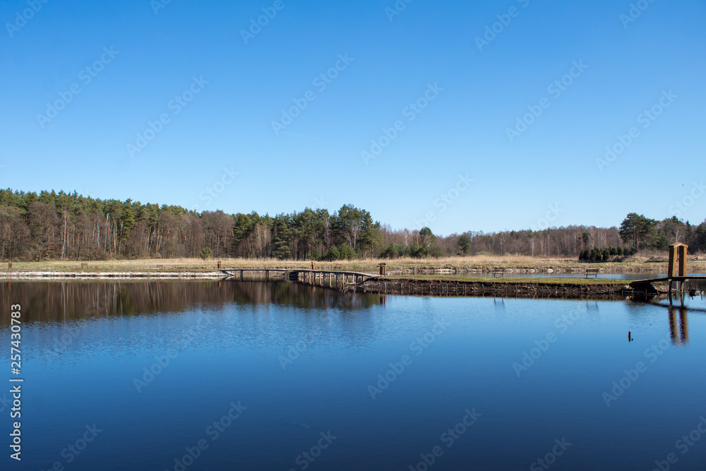 Blue water in a forest lake with pine trees, lake in Kluki, Poland