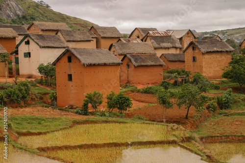 typical red houses in the highlands of Madagascar and rice terraces