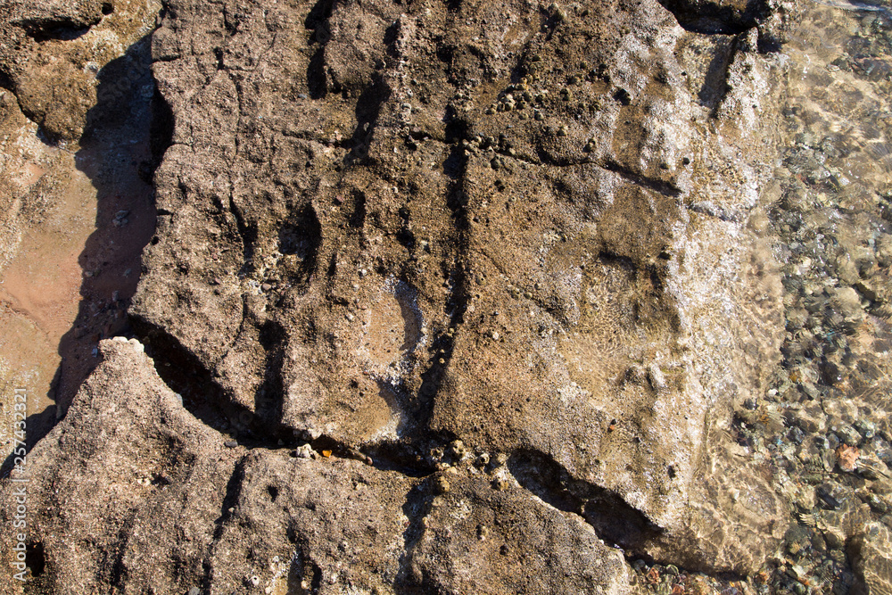 Fototapeta premium Stone coastline. Rocks and water. Natural background. Stone texture of the edge of the water